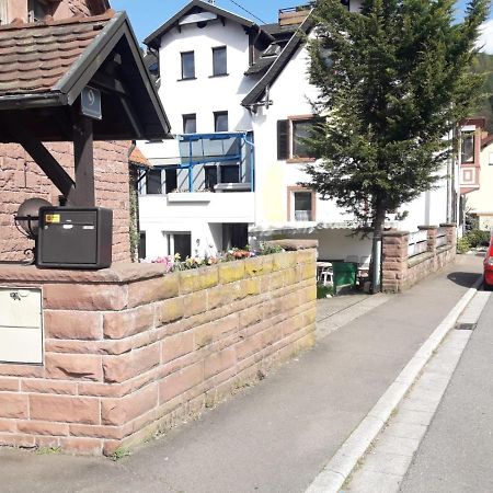 Grosse Wohnung Im Odenwald 1 Schonau  Εξωτερικό φωτογραφία
