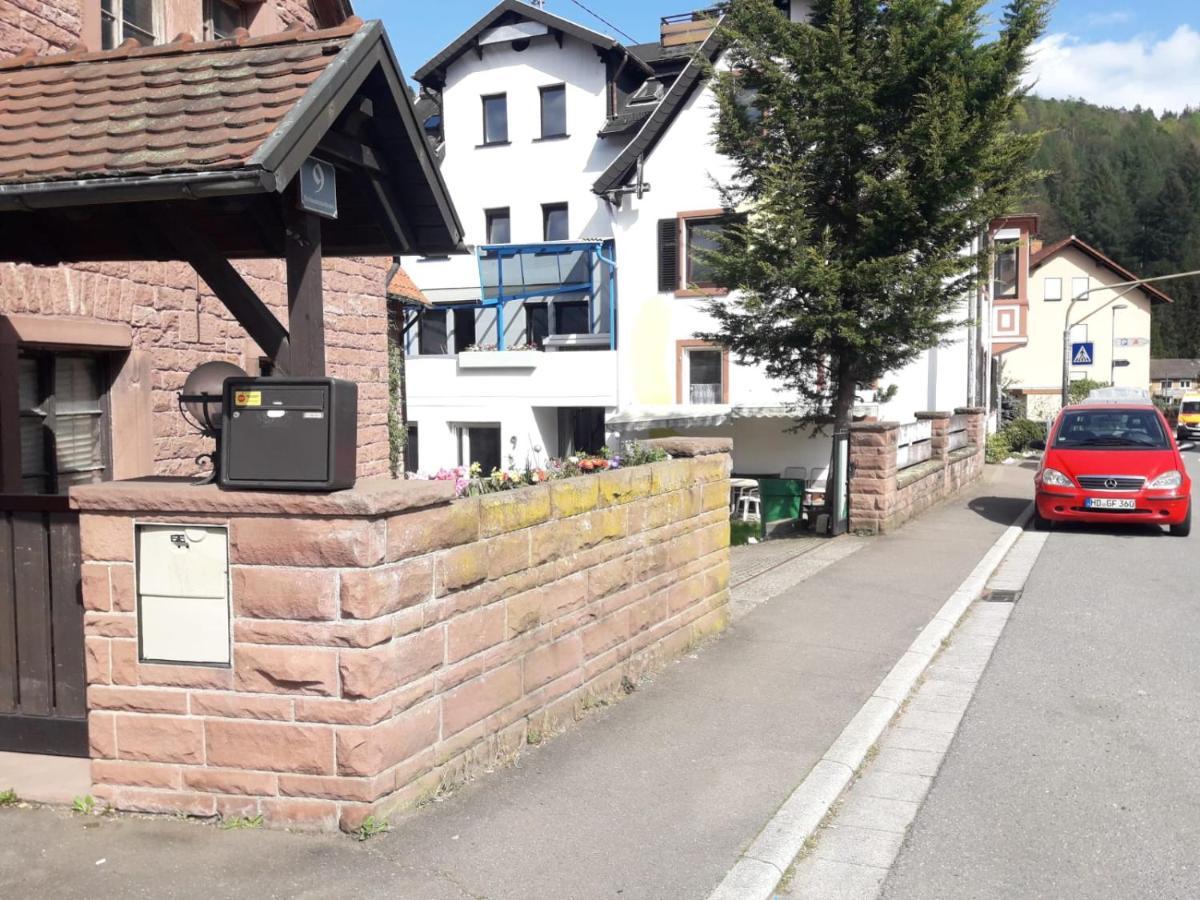 Grosse Wohnung Im Odenwald 1 Schonau  Εξωτερικό φωτογραφία
